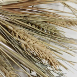 Northlight Wheat And Straw Stalks Artificial Wreath, 22-inch Unlit -Northlight kkzst5zzlw9joyggd7xqniv654hc13wu 31220.1664119882