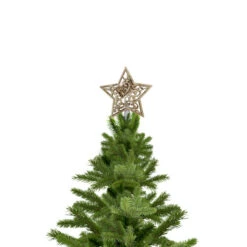 Northlight 10" Lighted Brown Star With Cut-Out Design Christmas Tree Topper - Clear Lights -Northlight northlight20ha87093b 57394.1665433006