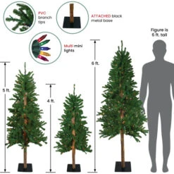 Northlight Set Of 3 Pre-Lit Slim Alpine Artificial Christmas Trees 6' - Multi Lights -Northlight northlight20v27446 21307.1665783346