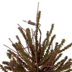 Northlight 2' Pre-Lit Medium Potted Warsaw Twig Artificial Christmas Tree - Clear Lights -Northlight northlight b03909 1 71217.1608088098