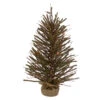 Northlight 2' Pre-Lit Medium Potted Warsaw Twig Artificial Christmas Tree - Clear Lights -Northlight northlight b03909 07285.1622640326