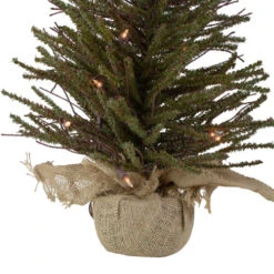 Northlight 2.5' Pre-Lit Warsaw Two-Tone Twig Artificial Christmas Tree - Clear Lights -Northlight northlight b03911 3 60062.1605321221