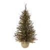 Northlight 2.5' Pre-Lit Warsaw Two-Tone Twig Artificial Christmas Tree - Clear Lights -Northlight northlight b03911 32189.1605321220