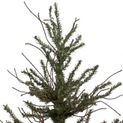Northlight 3' Warsaw Two-Tone Twig Artificial Christmas Tree - Unlit -Northlight northlight b03912 1 16109.1665611042