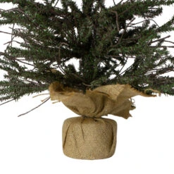 Northlight 3' Warsaw Two-Tone Twig Artificial Christmas Tree - Unlit -Northlight northlight b03912 3 74648.1665611042