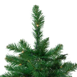 Northlight 7.5' Pre-Lit Full Twin Lakes Fir Artificial Christmas Tree - Warm White LED Lights 11 Northlight 7.5' Pre-Lit Full Twin Lakes Fir Artificial Christmas Tree - Warm White LED Lights -Northlight northlight hb27053 2 36987.1588369241