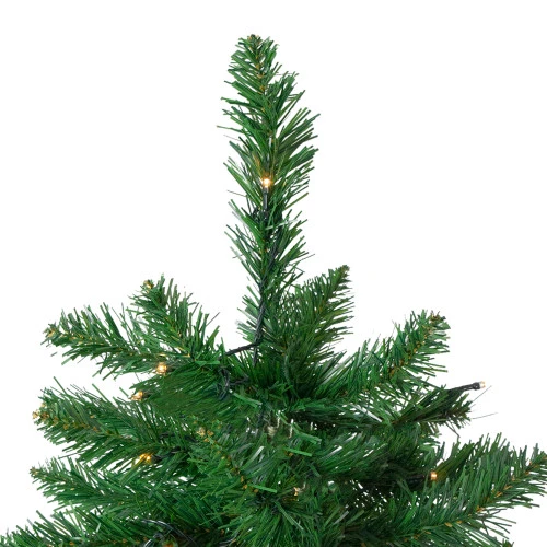 Northlight 6.5' Pre-Lit Twin Lakes Fir Artificial Christmas Tree - Warm White LED Lights 6 Northlight 6.5' Pre-Lit Twin Lakes Fir Artificial Christmas Tree - Warm White LED Lights - Image 4