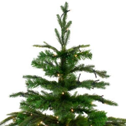 Northlight 9' Pre-Lit Full Roosevelt Fir Artificial Christmas Tree - Warm White LED Lights -Northlight northlight hb27075 3 00245.1604715582