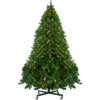 Northlight 12' Pre-Lit Full Olympia Pine Artificial Christmas Tree - Warm White Lights