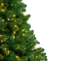 Northlight 12' Pre-Lit Full Olympia Pine Artificial Christmas Tree - Warm White Lights -Northlight northlight th 2 13371.1590070344