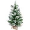 Northlight 22" Flocked Pine Full Artificial Christmas Tree In Burlap Base - Unlit 2 Northlight 22" Flocked Pine Full Artificial Christmas Tree In Burlap Base - Unlit -Northlight northlight v03955 1new 86982.1670057373