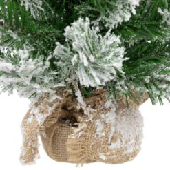 Northlight 22" Flocked Pine Full Artificial Christmas Tree In Burlap Base - Unlit 11 Northlight 22" Flocked Pine Full Artificial Christmas Tree In Burlap Base - Unlit -Northlight northlight v03955 4new 89745.1670057375