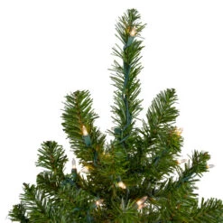 Northlight 6' Pre-Lit Medium Canadian Pine Artificial Christmas Tree, Clear Lights -Northlight northlight v15883 2updated 70855.1665696782