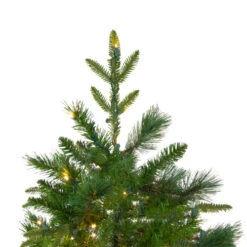 Northlight 6.5' Pre-Lit Rosemary Emerald Angel Pine Artificial Christmas Tree - Warm White LED Lights -Northlight northlight v27351 2 15575.1588355165