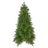 Northlight 6.5' Pre-Lit Rosemary Emerald Angel Pine Artificial Christmas Tree - Warm White LED Lights -Northlight northlight v27351 37818.1588355162