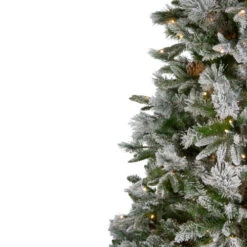 Northlight 6.5' Pre-Lit LED Full Mixed Rosemary Emerald Angel Pine Artificial Christmas Tree - Clear Lights -Northlight northlight v27363 1 28621.1587643979