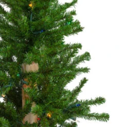 Northlight 3' Pre-Lit Alpine Artificial Christmas Tree - Multi Lights -Northlight northlight v27431 1 43099.1665590923