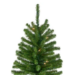 Northlight 6' Pre-Lit Pencil Alpine Artificial Christmas Tree, Clear Lights -Northlight northlight v27436 2 53283.1665610430