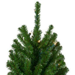 Northlight Set Of 3 Pre-Lit Slim Alpine Artificial Christmas Trees 6' - Clear Lights -Northlight northlight v27437 2updated 55998.1665610744