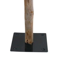 Northlight Set Of 3 Slim Flocked Alpine Artificial Christmas Trees 6' - Unlit -Northlight northlight v27441 4 22085.1588358968