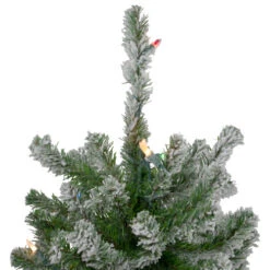 Northlight Set Of 3 Pre-Lit Slim Flocked Alpine Artificial Christmas Trees 6' - Multicolor Lights -Northlight northlight v27442 3updated 39887.1665696781