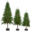 Northlight Set Of 3 Pre-Lit Slim Alpine Artificial Christmas Trees 6' - Clear Lights -Northlight northlight v27450 1update 62097.1665610744