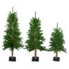 Northlight Set Of 3 Alpine Artificial Christmas Trees 3', 4'and 5'- Unlit -Northlight northlight v27452 14527.1588358961