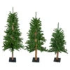 Northlight Set Of 3 Alpine Artificial Christmas Trees 4', 5' And 6' - Unlit -Northlight northlight v27452 updarte 74899.1668587289