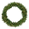 Northlight Pre-Lit Dakota Red Pine Commercial Artificial Christmas Wreath - 60-Inch, Warm White LED Lights -Northlight northlight z99439 32335.1588349655