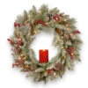 Christmas Central Pre-Lit Snowy Bristle Berry Artificial Christmas Wreath, 24-Inch, White LED Lights -Northlight pesb3 300 24wbr 66677.1588348946