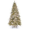 Christmas Central 6.5’ Pre-Lit Snowy Everest Fir Artificial Christmas Tree, Clear Lights -Northlight pev3 311 65 08005.1588371430