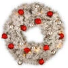 Christmas Central Pre-Lit Snowy Bristle Pine Wreath, 30-Inch, Warm White LED Lights -Northlight snp7 308 30w b1 54515.1588348966