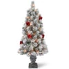 Christmas Central 4’ Pre-Lit Potted Snowy Bristle Pine Artificial Christmas Tree, Clear Lights 2 Christmas Central 4’ Pre-Lit Potted Snowy Bristle Pine Artificial Christmas Tree, Clear Lights -Northlight snp7 308 40 88210.1588348967