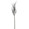 Northlight 43" Brown And White Frosted Artificial Christmas Poplar Tree Branch -Northlight u3akkdbyg9ghvpvx51qlbzglhsgdpw2s 90406.1588415500
